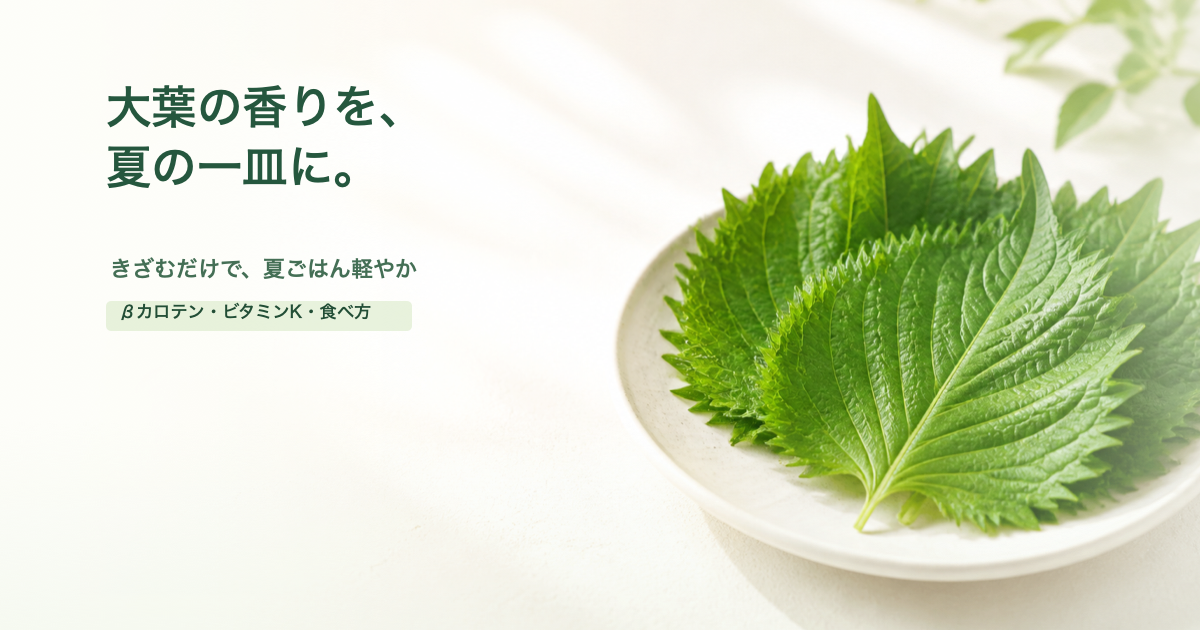 大葉の葉と「大葉の香りを、夏の一皿に。」の文字を配置したアイキャッチ画像