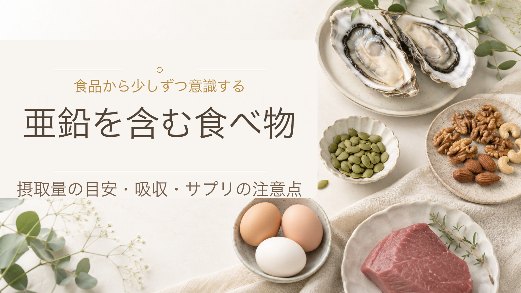 牡蠣、ナッツ、かぼちゃの種、卵、肉を並べた背景に、亜鉛を含む食べ物、摂取量の目安・吸収・サプリの注意点の文字が入ったアイキャッチ