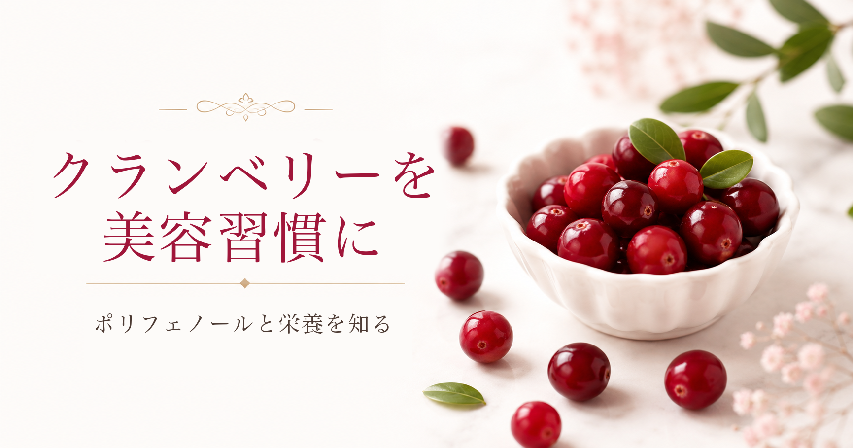 白い器に入ったクランベリーと、美容習慣をテーマにした記事アイキャッチ