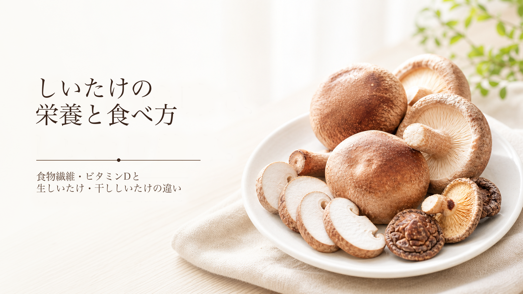 白い皿に盛ったしいたけの写真に「しいたけの栄養と食べ方」「食物繊維・ビタミンDと生しいたけ・干ししいたけの違い」と書かれたアイキャッチ画像